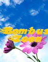 Bombus zoon 1